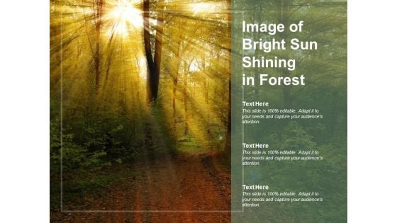 Image Of Bright Sun Shining In Forest Ppt PowerPoint Presentation Slides Layout