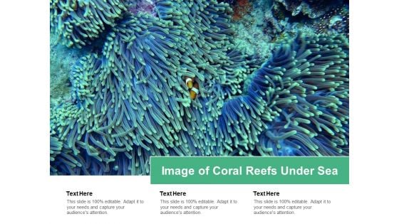 Image Of Coral Reefs Under Sea Ppt PowerPoint Presentation Icon Skills