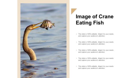 Image Of Crane Eating Fish Ppt Powerpoint Presentation Visual Aids Files