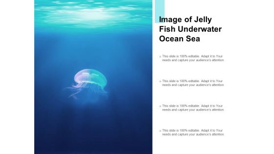 Image Of Jelly Fish Underwater Ocean Sea Ppt PowerPoint Presentation Infographic Template Deck