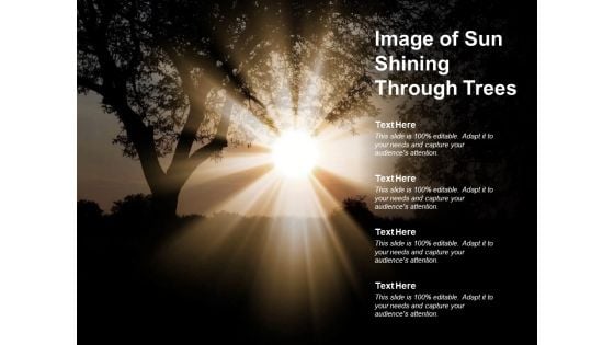 Image Of Sun Shining Through Trees Ppt PowerPoint Presentation Infographic Template Graphics