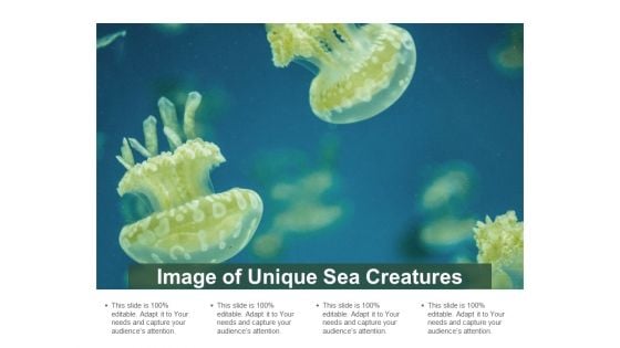 Image Of Unique Sea Creatures Ppt PowerPoint Presentation Pictures Outline