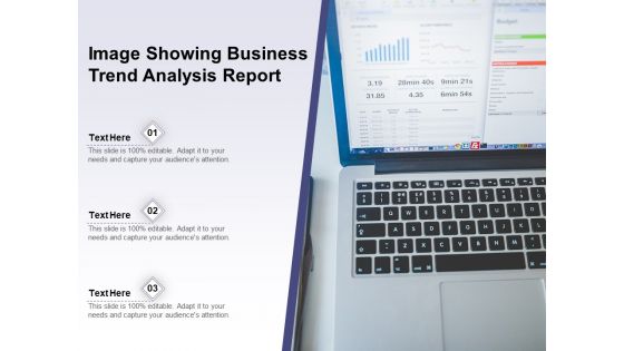 Image Showing Business Trend Analysis Report Ppt PowerPoint Presentation Summary Graphics PDF