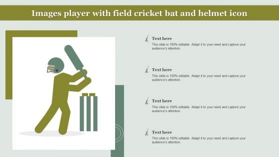 Images Player With Field Cricket Bat And Helmet Icon Diagrams PDF