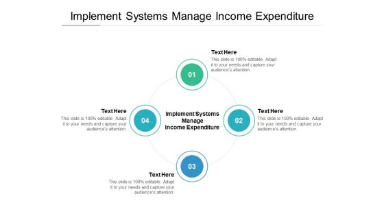 Implement Systems Manage Income Expenditure Ppt PowerPoint Presentation Icon Cpb Pdf