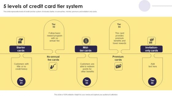Implementation Of An Efficient Credit Card Promotion Plan 5 Levels Of Credit Download PDF