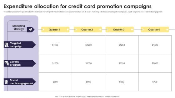 Implementation Of An Efficient Credit Card Promotion Plan Expenditure Allocation Credit Infographics PDF