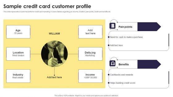 Implementation Of An Efficient Credit Card Promotion Plan Sample Credit Card Customer Profile Slides PDF