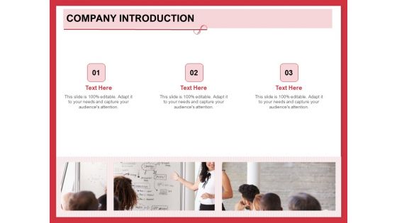 Implementing Compelling Marketing Channel Company Introduction Ppt PowerPoint Presentation Visuals PDF