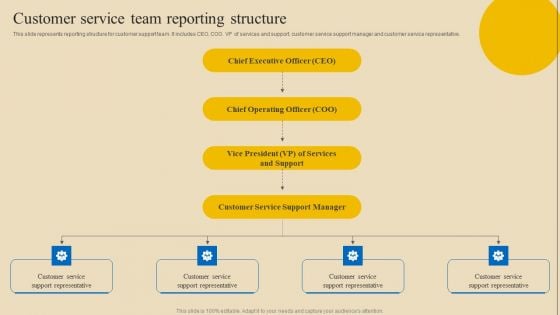 Implementing Digital Customer Service Customer Service Team Reporting Structure Portrait PDF