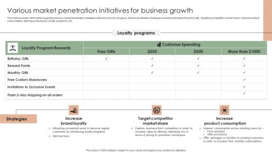 Implementing Effective Strategy Various Market Penetration Initiatives For Business Mockup PDF