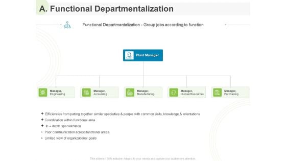 Implementing Human Resources HR Best Practices Strategy A Functional Departmentalization Ppt Infographics Skills PDF