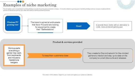 Implementing Marketing Strategies Examples Of Niche Marketing Microsoft PDF