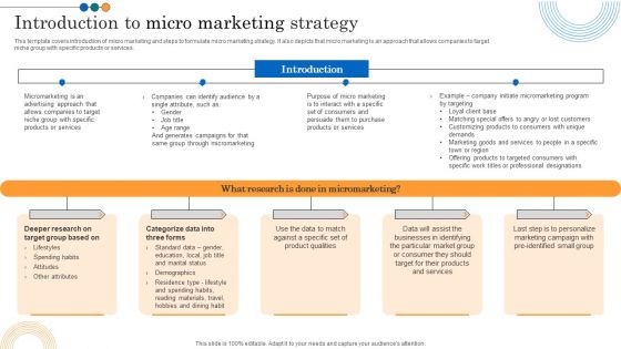 Implementing Marketing Strategies Introduction To Micro Marketing Strategy Sample PDF