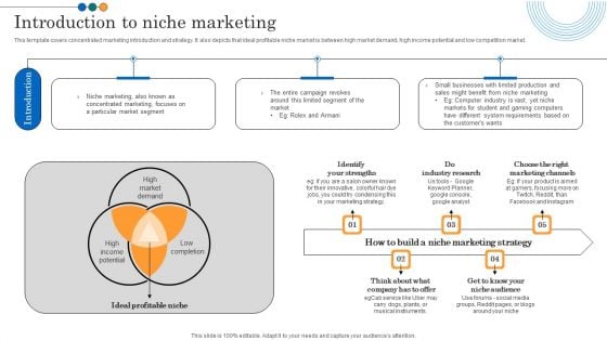 Implementing Marketing Strategies Introduction To Niche Marketing Portrait PDF