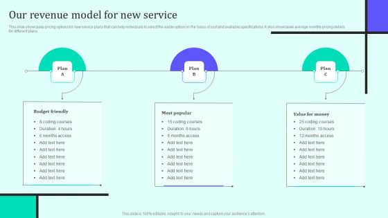 Implementing New Sales And Marketing Process For Services Our Revenue Model For New Service Demonstration PDF