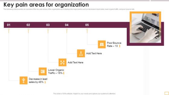 Implementing SEO Strategy To Enhance Business Performance Key Pain Areas For Organization Icons PDF