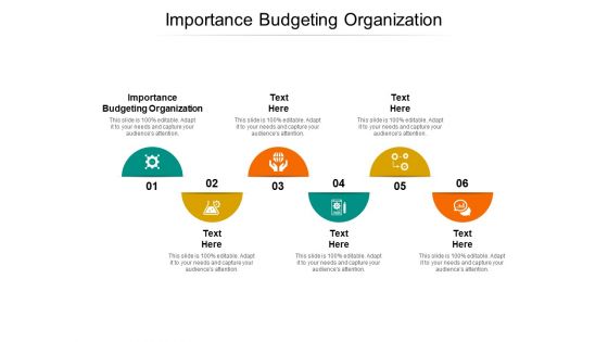 Importance Budgeting Organization Ppt PowerPoint Presentation Infographics Background Designs Cpb Pdf