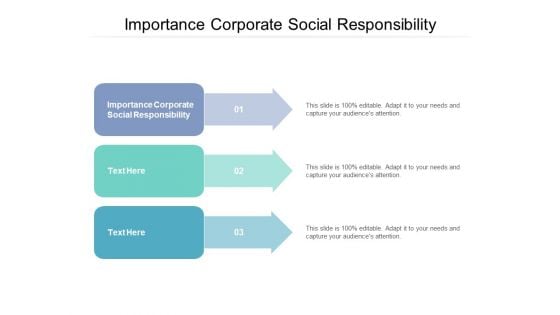 Importance Corporate Social Responsibility Ppt PowerPoint Presentation Slides File Formats Cpb