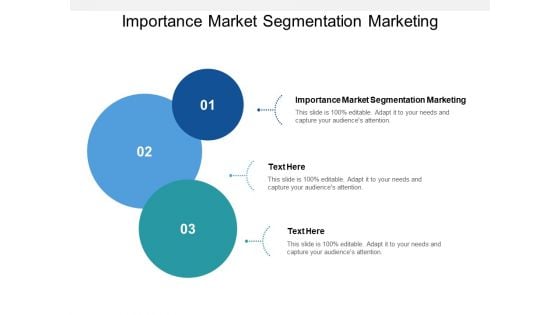 Importance Market Segmentation Marketing Ppt PowerPoint Presentation Pictures Inspiration Cpb