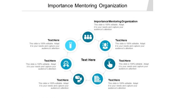 Importance Mentoring Organization Ppt PowerPoint Presentation Summary Model Cpb