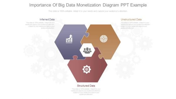 Importance Of Big Data Monetization Diagram Ppt Example