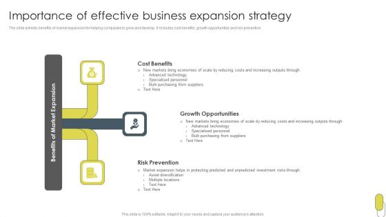 Importance Of Effective Business Expansion Strategy Background PDF