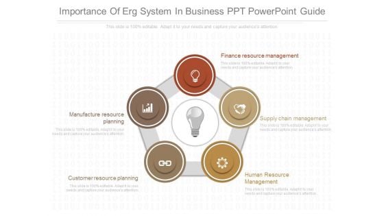 Importance Of Erg System In Business Ppt Powerpoint Guide