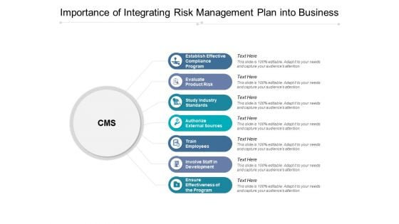 Importance Of Integrating Risk Management Plan Into Business Ppt PowerPoint Presentation File Background Images PDF