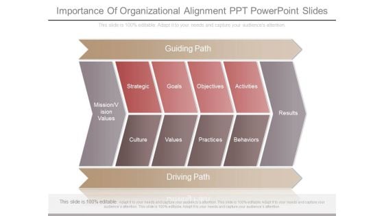 Importance Of Organizational Alignment Ppt Powerpoint Slides