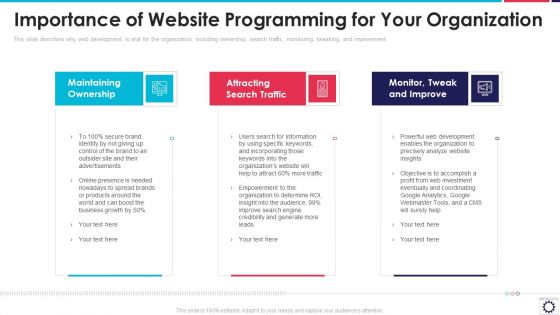 Importance Of Website Programming For Your Organization Ppt PowerPoint Presentation Icon Example File PDF