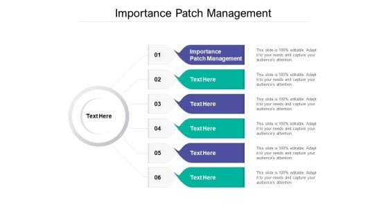 Importance Patch Management Ppt PowerPoint Presentation Infographic Template Show Cpb