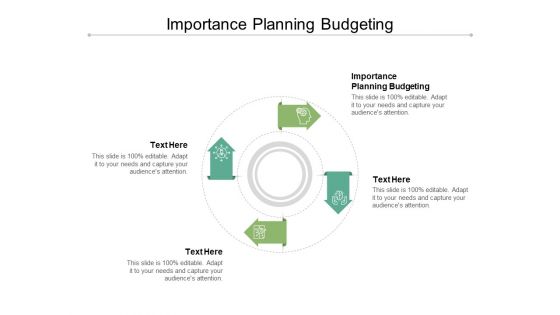 Importance Planning Budgeting Ppt PowerPoint Presentation Model Topics Cpb