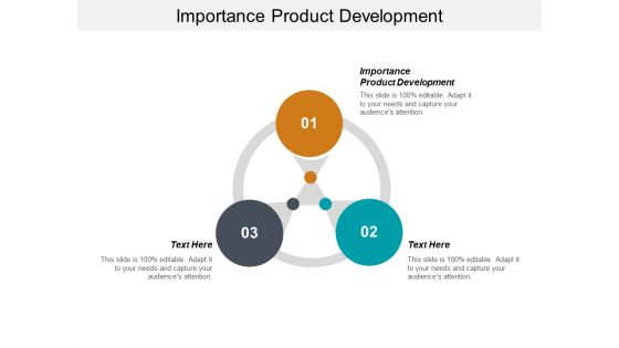 Importance Product Development Ppt PowerPoint Presentation Styles Icons Cpb