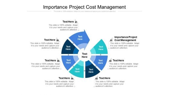 Importance Project Cost Management Ppt PowerPoint Presentation Outline Samples Cpb