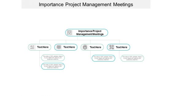 Importance Project Management Meetings Ppt PowerPoint Presentation Ideas Outfit Cpb Importance Project Management Meetings Ppt PowerPoint Presentation Ideas Outfit Cpb