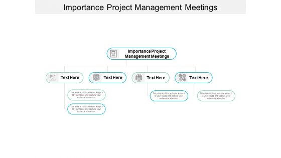 Importance Project Management Meetings Ppt PowerPoint Presentation Ideas Outfit Cpb