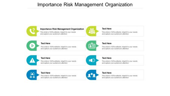 Importance Risk Management Organization Ppt PowerPoint Presentation Layouts Diagrams Cpb