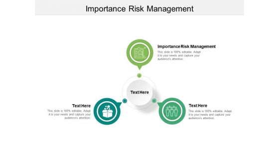 Importance Risk Management Ppt PowerPoint Presentation Layouts Show Cpb