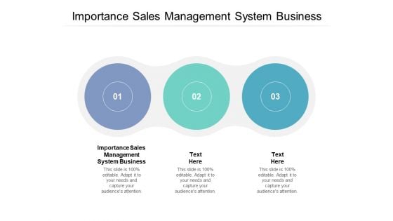 Importance Sales Management System Business Ppt PowerPoint Presentation Slides Outfit Cpb