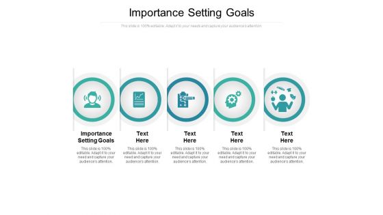 Importance Setting Goals Ppt PowerPoint Presentation Layouts Summary Cpb