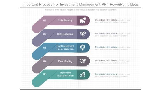 Important Process For Investment Management Ppt Powerpoint Ideas