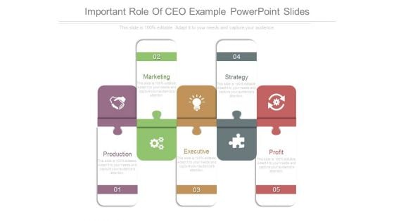 Important Role Of Ceo Example Powerpoint Slides