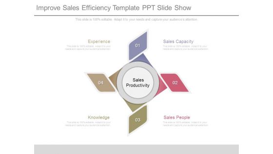 Improve Sales Efficiency Template Ppt Slide Show