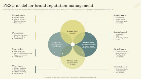 Improving Brand Mentions For Customer Peso Model For Brand Reputation Management Summary PDF