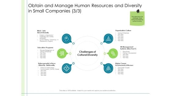 In Depth Business Assessment Obtain And Manage Human Resources And Diversity In Small Companies Programs Template PDF