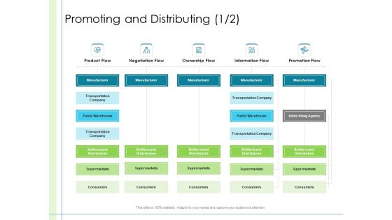 In Depth Business Assessment Promoting And Distributing Ppt Infographics Designs Download PDF