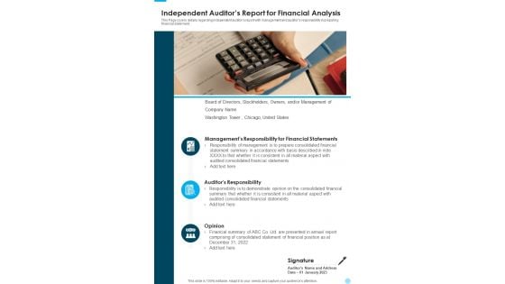 Independent Auditors Report For Financial Analysis One Pager Documents