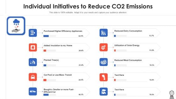 Individual Initiatives To Reduce CO2 Emissions Sample PDF