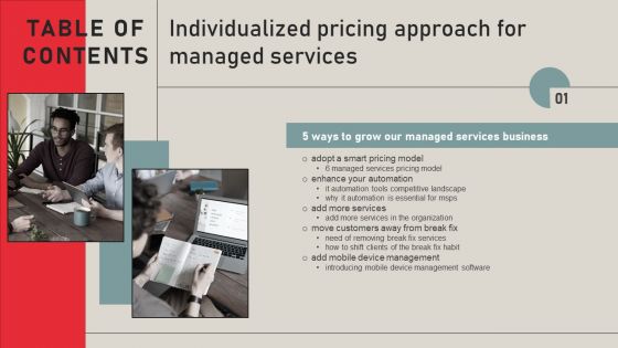 Individualized Pricing Approach For Managed Services Table Of Contents Guidelines PDF